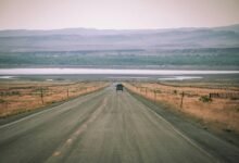 traffic expansion lead generation